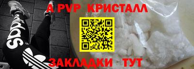 гидра Славгород