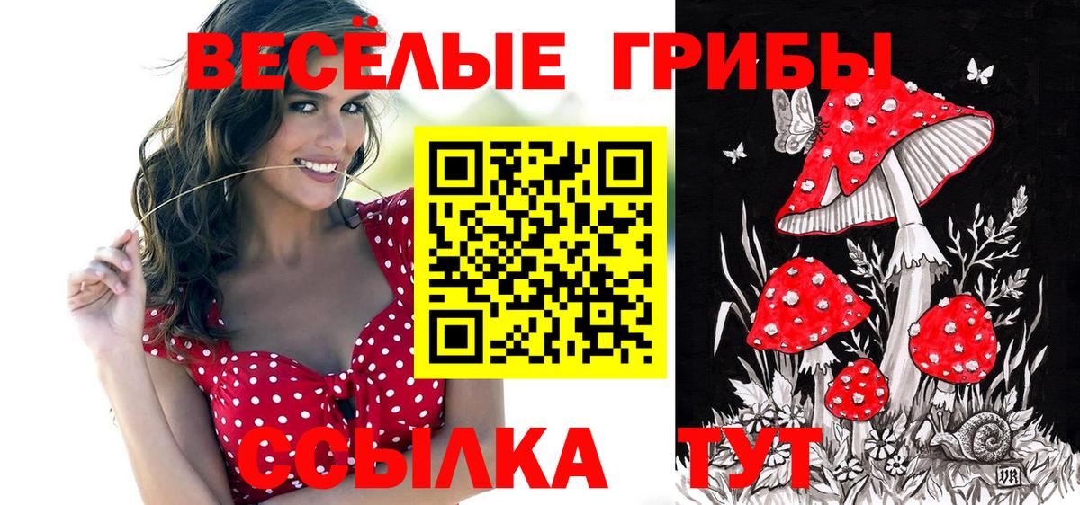 Чайковский  Галлюциногенные грибы GOLDEN TEACHER  Вход с VPN 