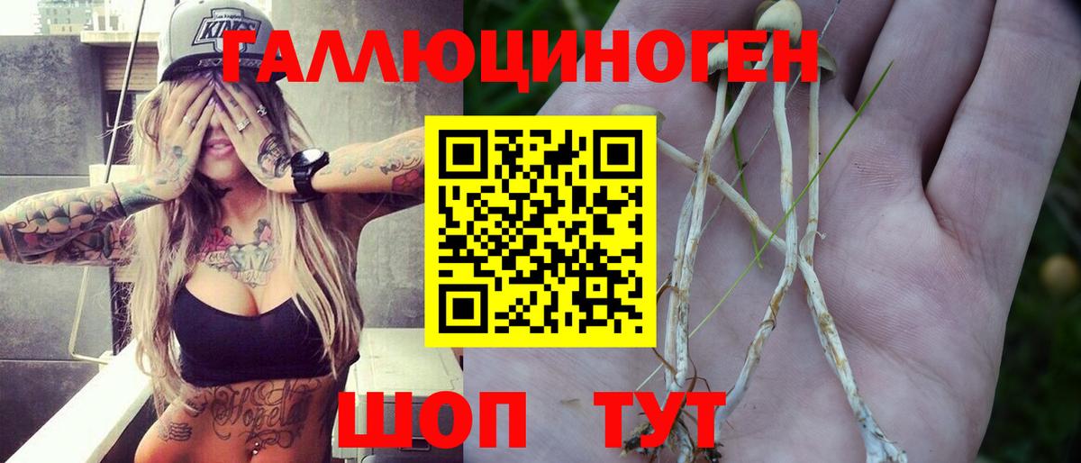 Псилоцибиновые грибы ЛСД Чайковский